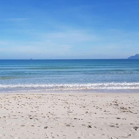 Ideal Property Mallorca - Blue Attic Beach Alcúdia Eksteriør bilde